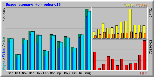 Usage summary for websrv13
